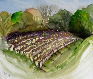 watercolor painting