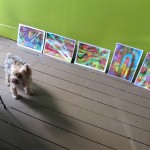 At the end we lined them up to view. Note the furry art critic.